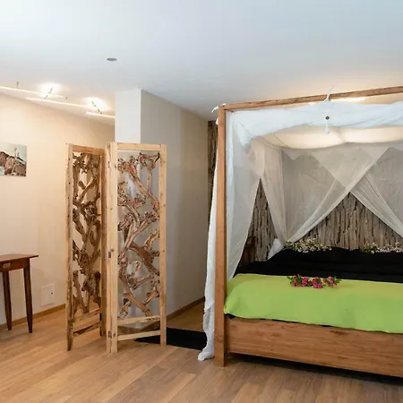 Apartment Schwarz Waldperle *